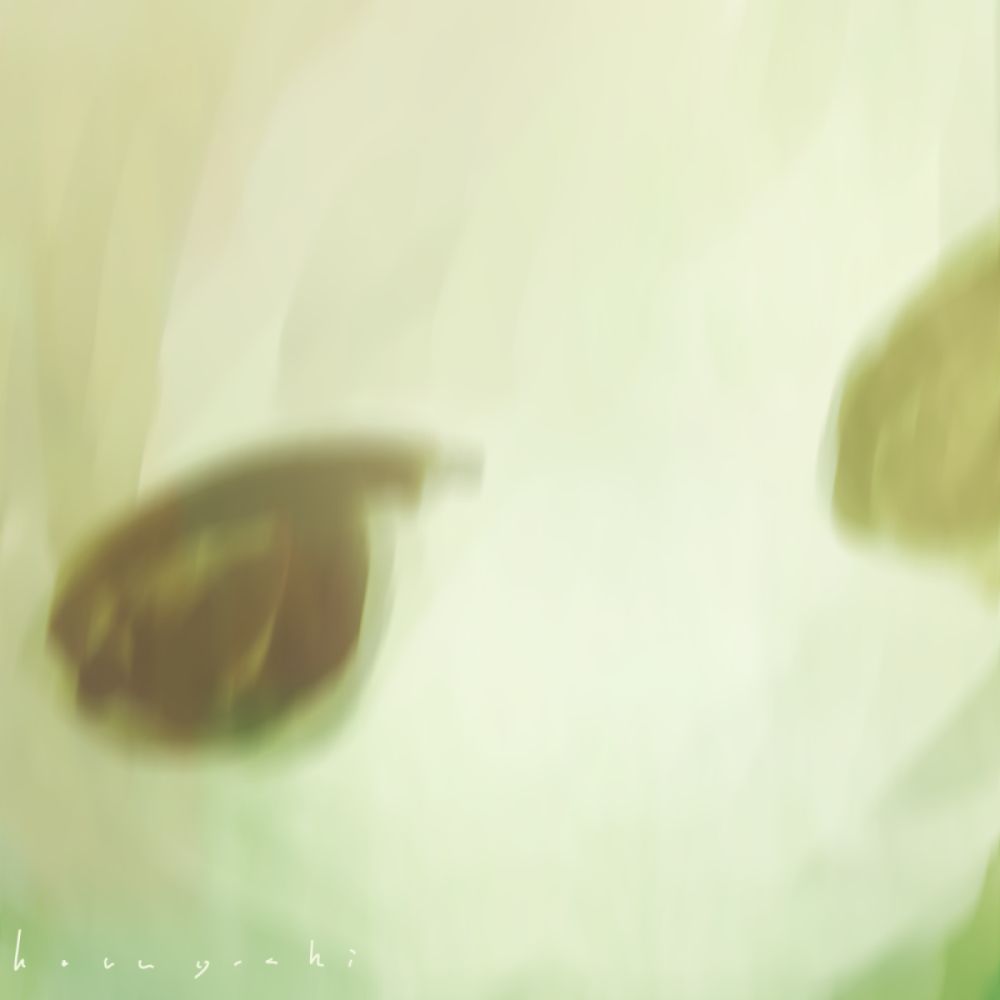  No.219         thumbnail