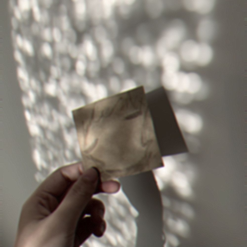  No.221         thumbnail