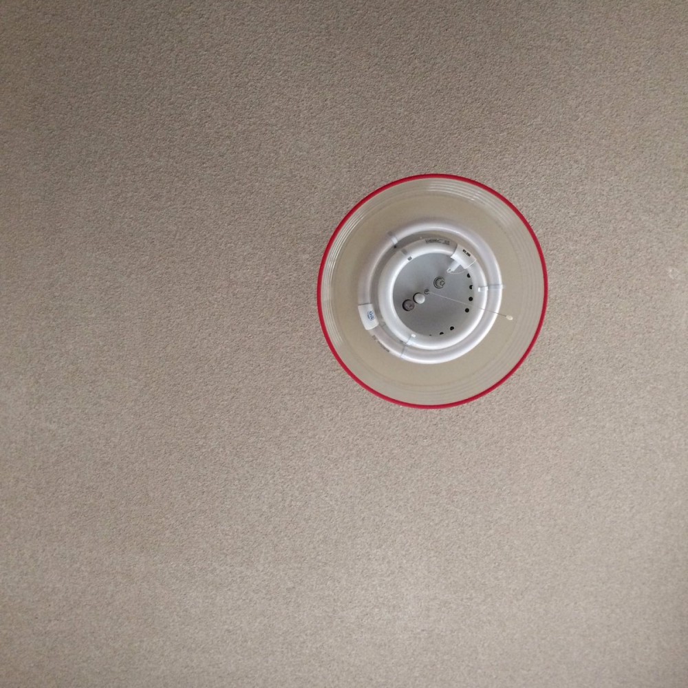  No.161         thumbnail