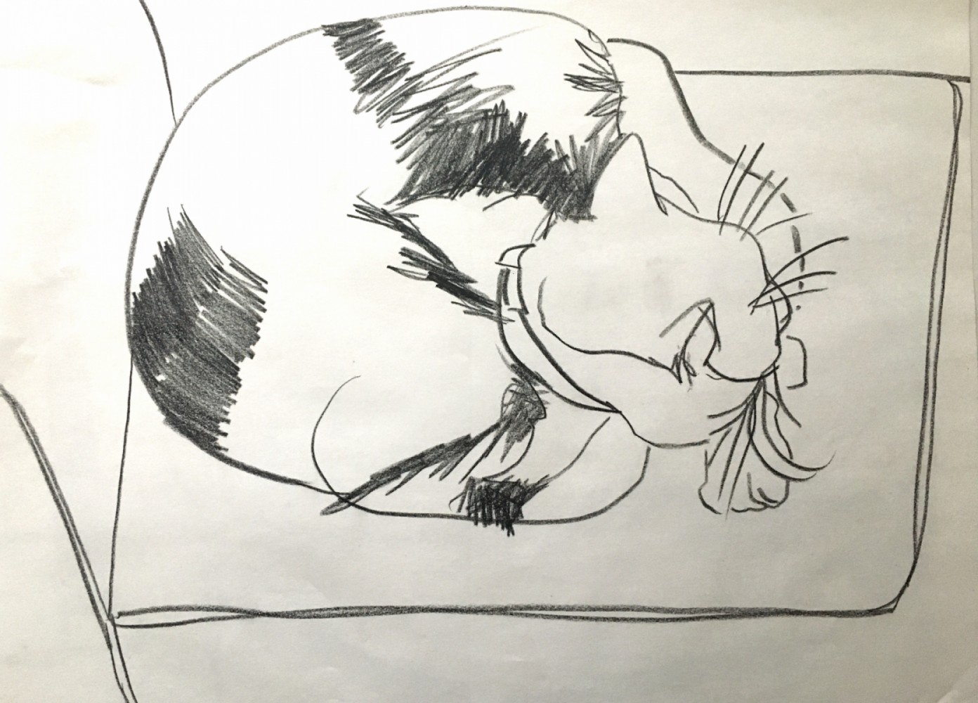  No.118         thumbnail