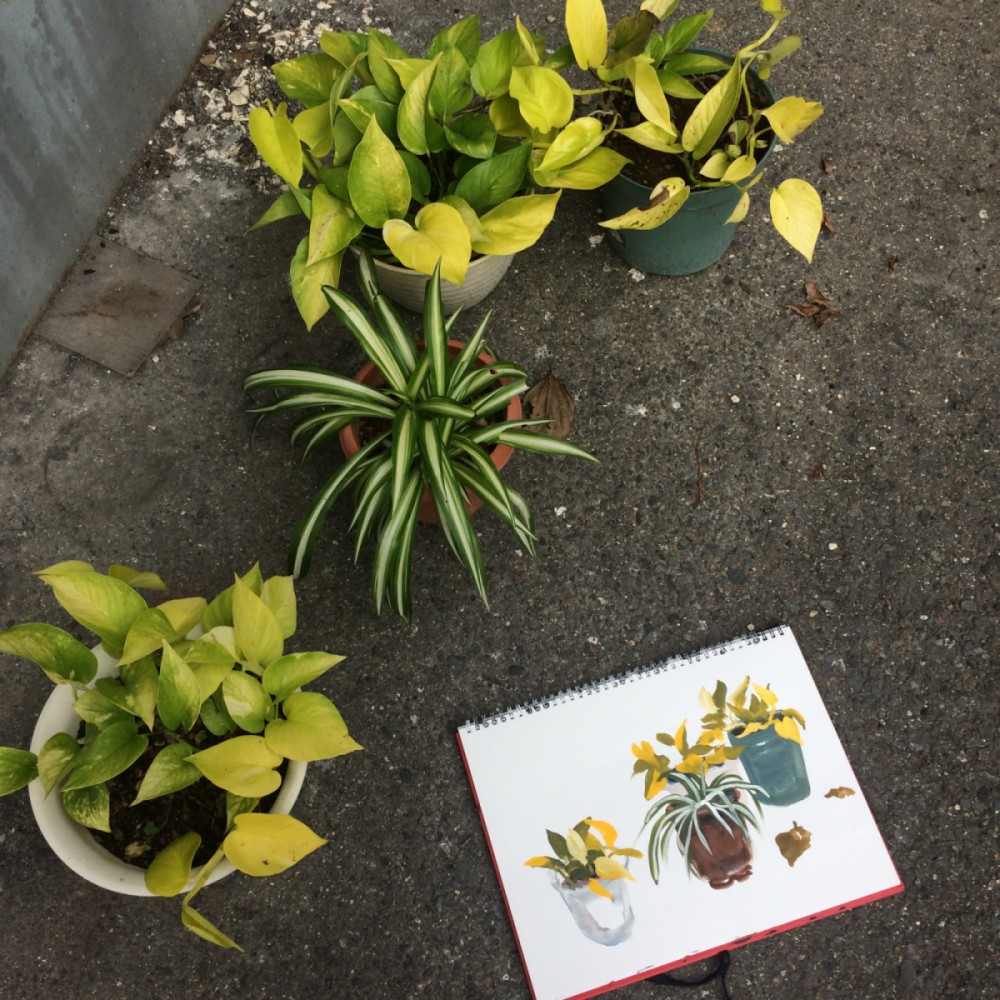  No.146         thumbnail