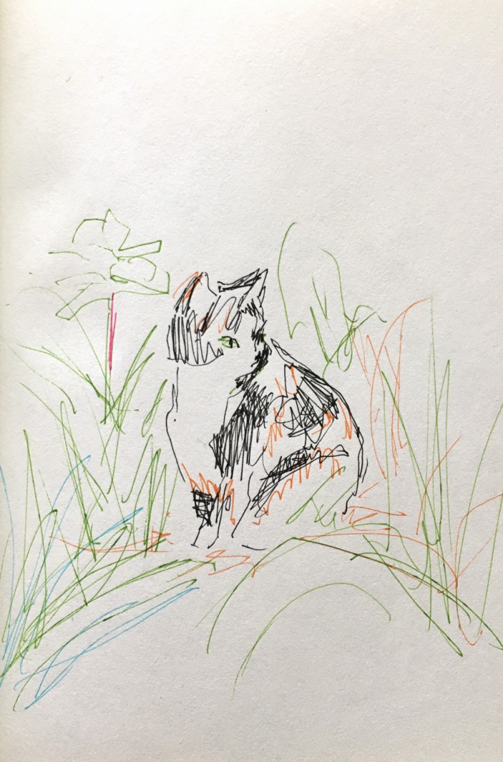  No.66         thumbnail